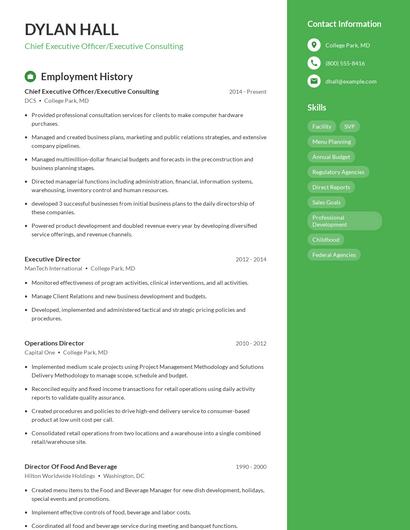 Chief Executive Officer/Executive Consulting Resume