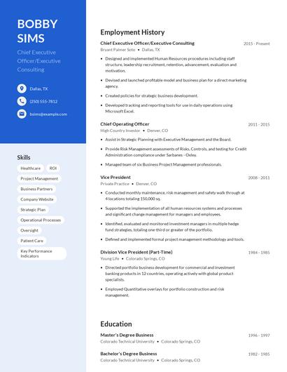 Chief Executive Officer/Executive Consulting Resume