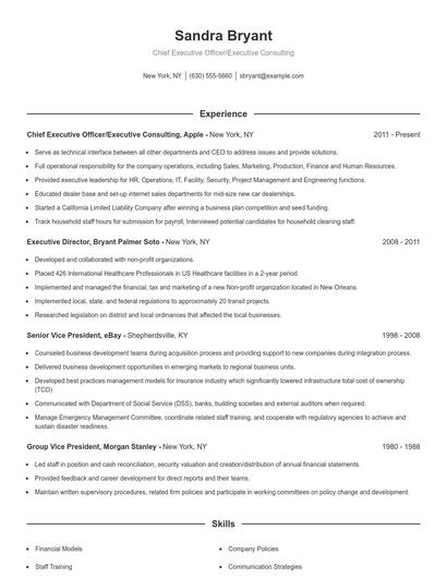 Chief Executive Officer/Executive Consulting Resume