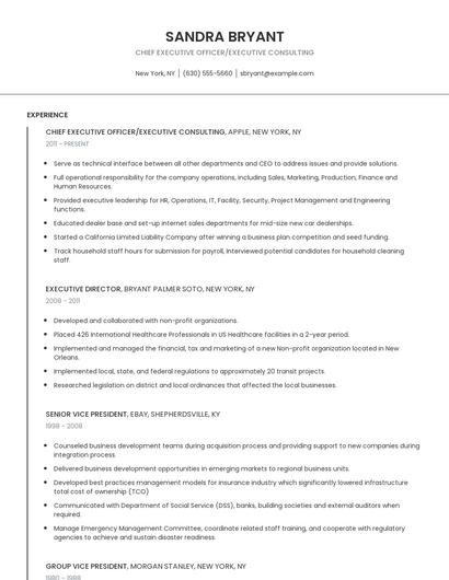 Chief Executive Officer/Executive Consulting Resume
