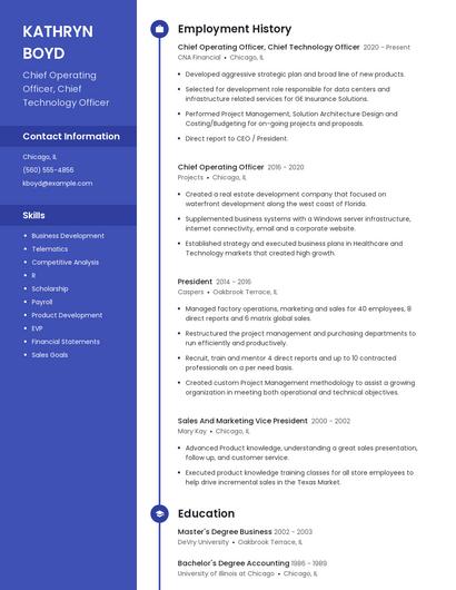 Chief Operating Officer, Chief Technology Officer Resume