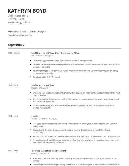 Chief Operating Officer, Chief Technology Officer Resume