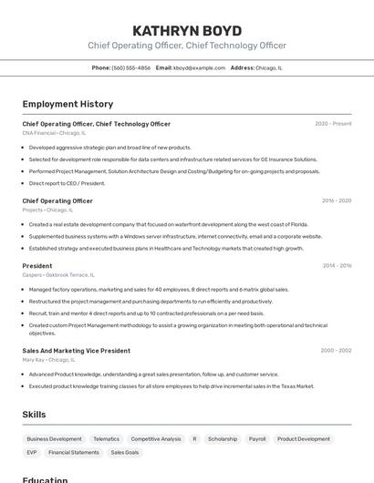 Chief Operating Officer, Chief Technology Officer Resume