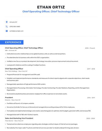 Chief Operating Officer, Chief Technology Officer Resume