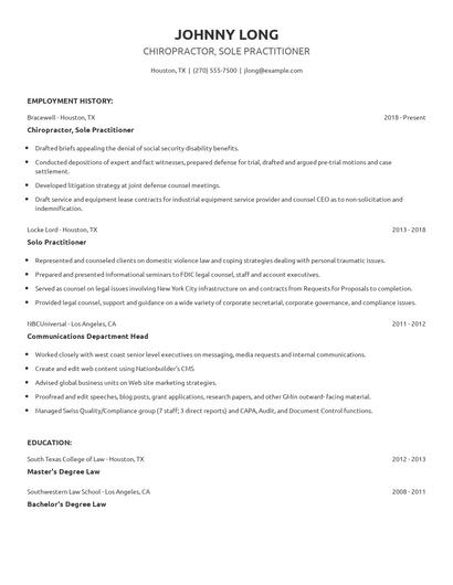 Chiropractor, Sole Practitioner Resume