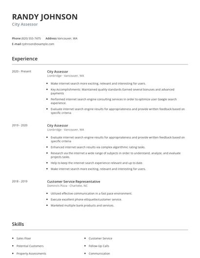 City Assessor Resume