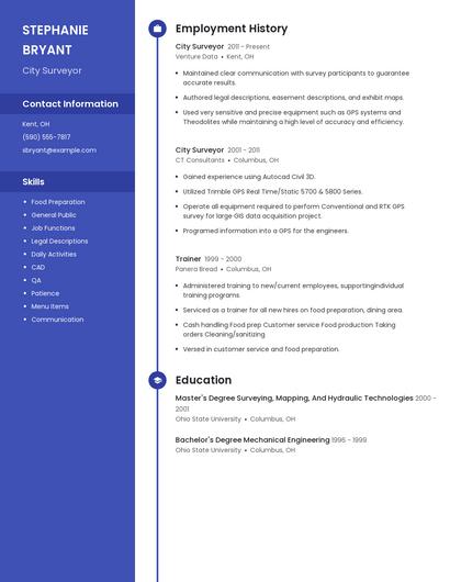 City Surveyor Resume