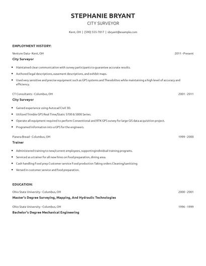 City Surveyor Resume