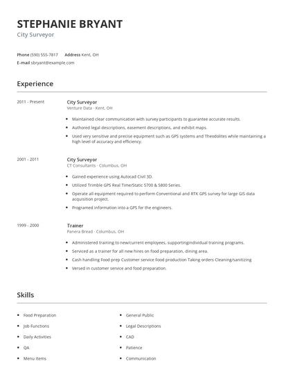 City Surveyor Resume