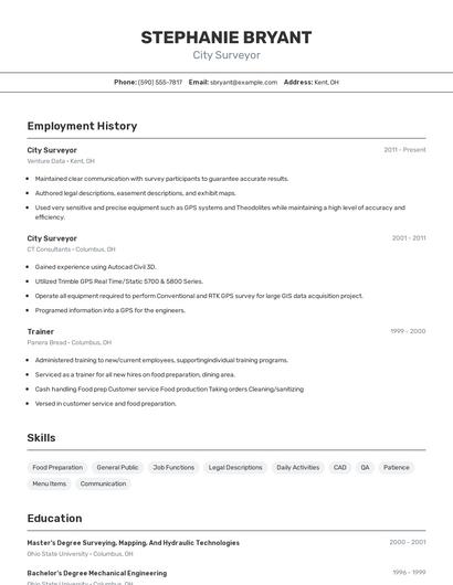 City Surveyor Resume