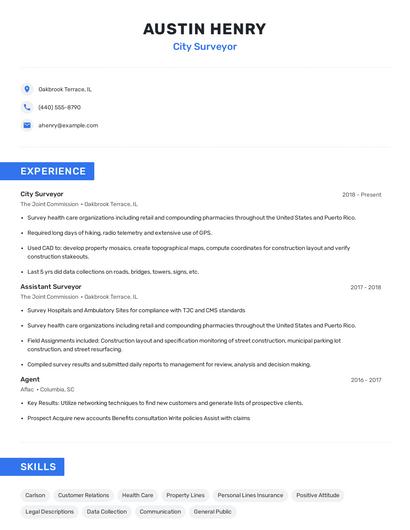 City Surveyor Resume