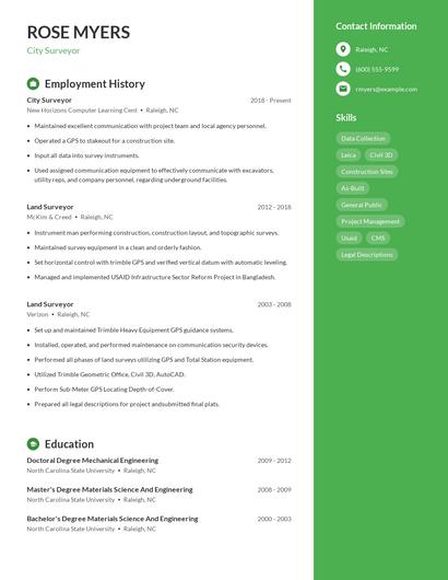 City Surveyor Resume