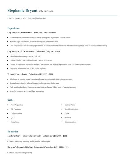 City Surveyor Resume