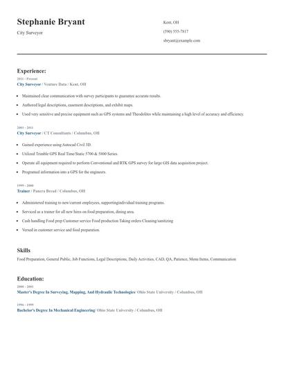 City Surveyor Resume