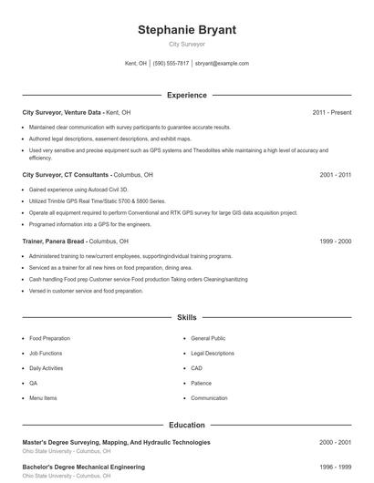 City Surveyor Resume