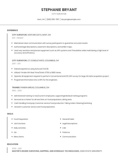 City Surveyor Resume
