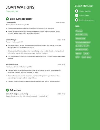 Claim Auditor Resume
