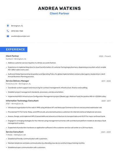 Client Partner Resume