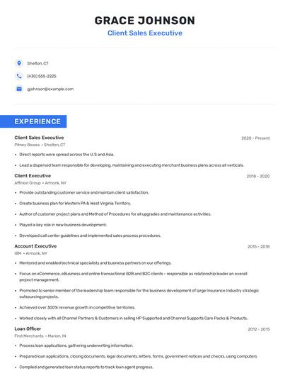 Client Sales Executive Resume