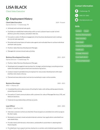 Client Sales Executive Resume