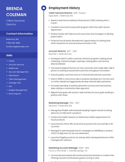 Client Services Director Resume
