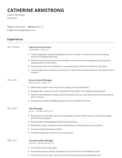 Client Services Director Resume