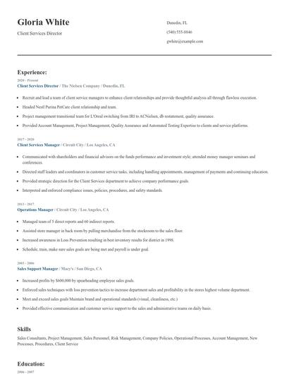 Client Services Director Resume