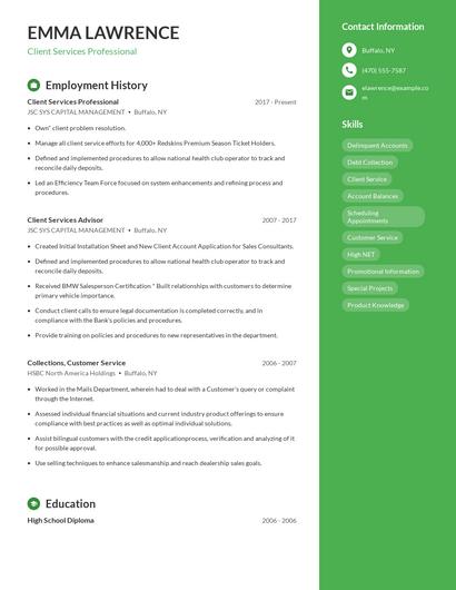 Client Services Professional Resume