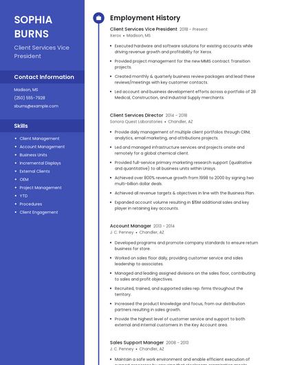 Client Services Vice President Resume