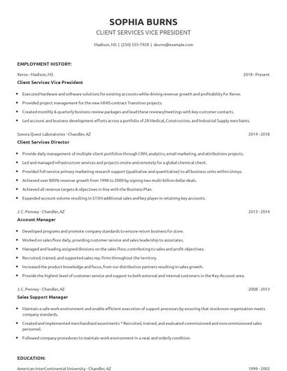 Client Services Vice President Resume