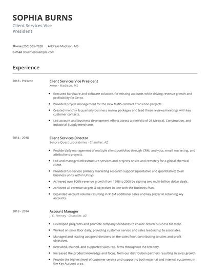 Client Services Vice President Resume