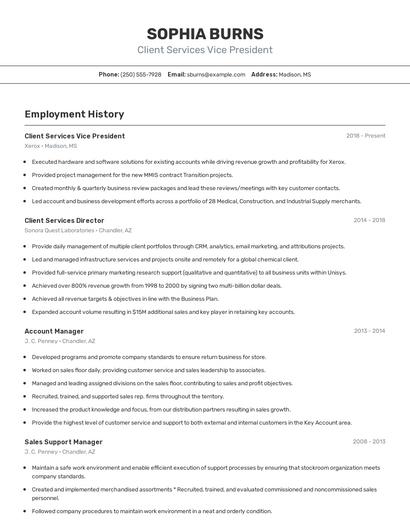 Client Services Vice President Resume