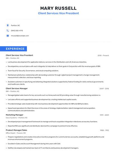 Client Services Vice President Resume