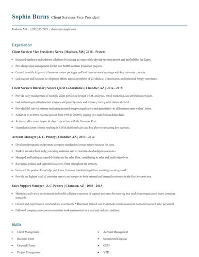 Client Services Vice President Resume