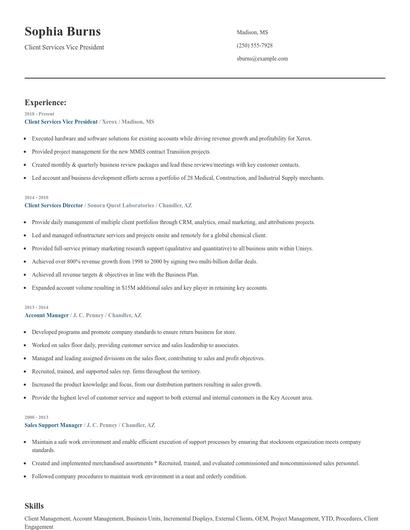 Client Services Vice President Resume