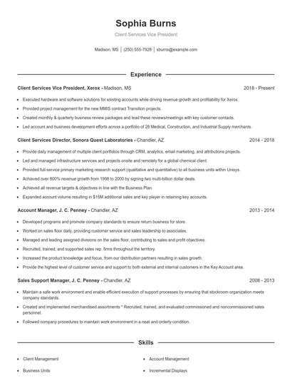 Client Services Vice President Resume
