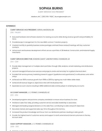 Client Services Vice President Resume