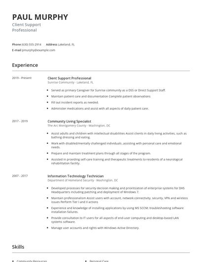 Client Support Professional Resume