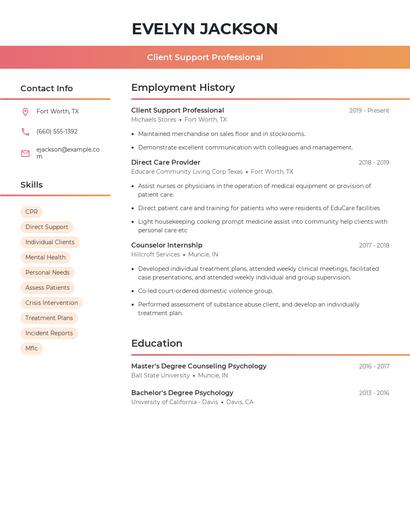 Client Support Professional Resume