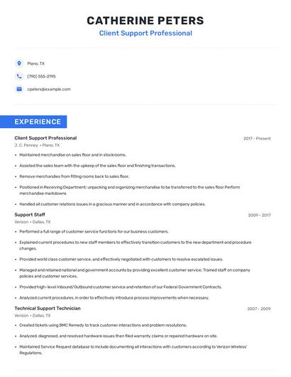 Client Support Professional Resume