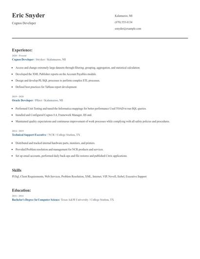 Cognos Developer Resume