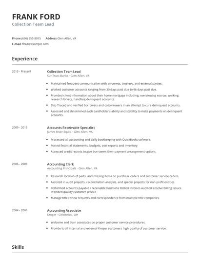 Collection Team Lead Resume