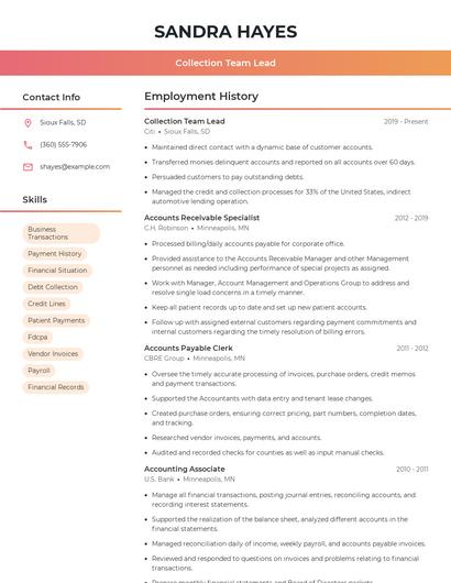 Collection Team Lead Resume