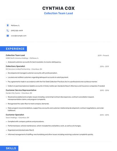 Collection Team Lead Resume