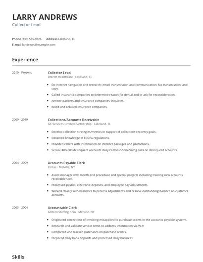 Collector Lead Resume