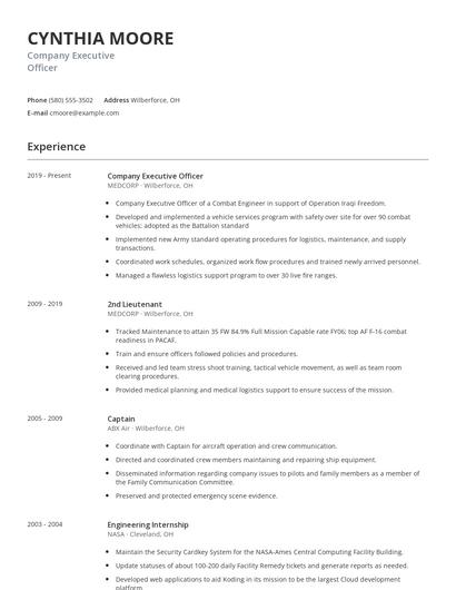 Company Executive Officer Resume