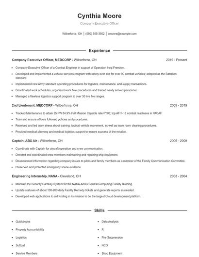 Company Executive Officer Resume