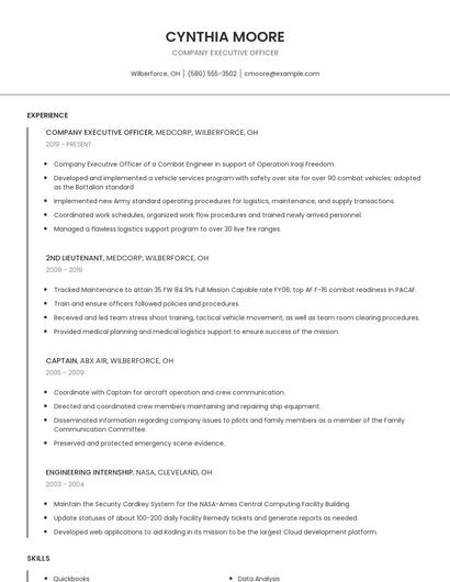 Company Executive Officer Resume
