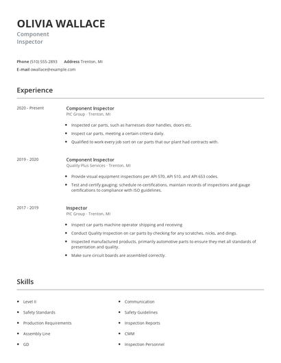 Component Inspector Resume