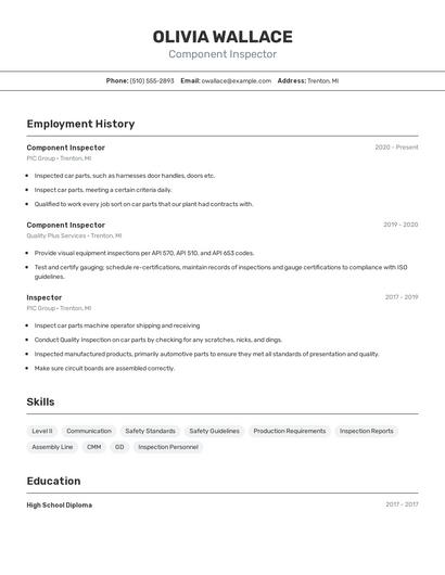 Component Inspector Resume